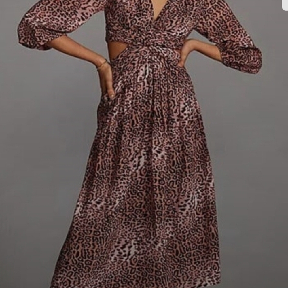 Ranna Gill Pink Leopard Print Midi Dress